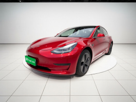 特斯拉 Model 3(进口) 2019款 长续航全轮驱动版