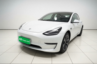 特斯拉 Model 3 2020款 标准续航后驱升级版