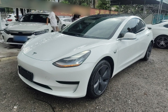 特斯拉 Model 3 2020款 标准续航后驱升级版