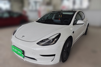 特斯拉 Model 3 2021款 标准续航后驱升级版