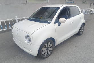 欧拉黑猫 2021款 351km 豪华型