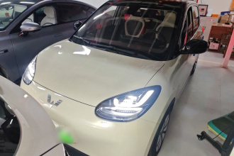 五菱汽车 五菱缤果 2023款 333km 悦享款