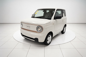 吉利银河 2024款 熊猫mini 200km 龙腾PRO版