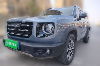 哈弗大狗 2021款 1.5T DCT两驱边牧版