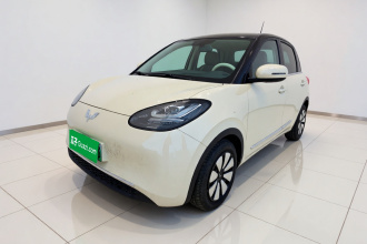 五菱汽车 五菱缤果 2023款 203km 舒享款