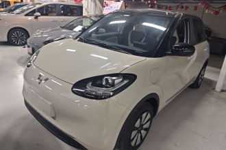 五菱汽车 五菱缤果 2024款 203km 轻享款