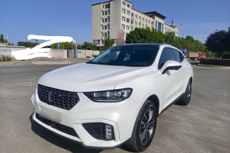 魏牌 VV5 2020款 1.5T 两驱智先锋
