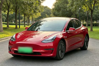 特斯拉 Model 3(进口) 2019款 长续航后驱版