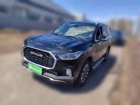 上汽大通MAXUS D90 2017款 2.0T 自动四驱 天狼星