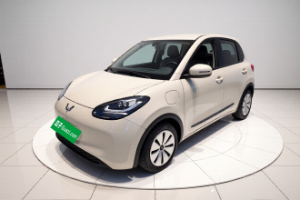 五菱汽车 五菱缤果 2023款 333km 快享款