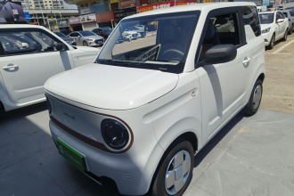 吉利银河 2024款 熊猫mini 200km 耐力熊