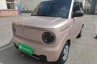 吉利银河 2024款 熊猫mini 200km 耐力熊