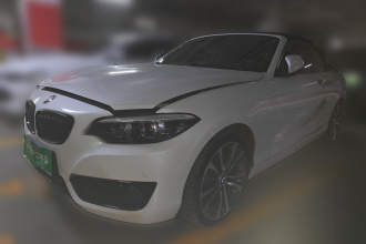 宝马2系(进口) 2019款 225i 敞篷轿跑车 运动设计套装