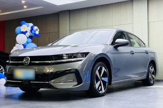 大众 迈腾 2024款  300TSI DSG尊享版显眼包