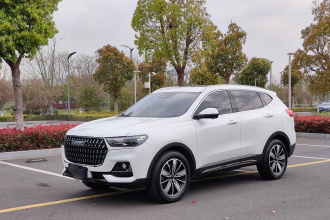 哈弗H6 2023款 国潮版 1.5T 自动冠军版