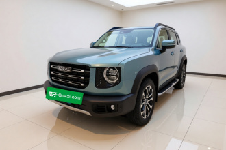 哈弗大狗 2021款 1.5T DCT两驱边牧-旺财版