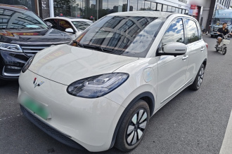 五菱汽车 五菱缤果 2024款 333km 悦享款
