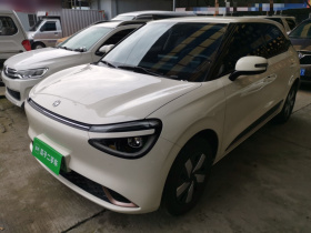 东风纳米 纳米01 2025款 330 青春版