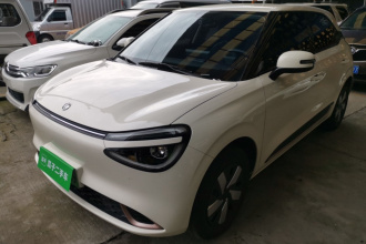 东风纳米 纳米01 2025款 330 青春版