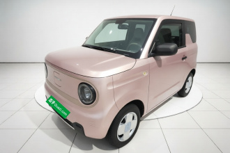 吉利银河 2023款 熊猫mini 200km 耐力熊