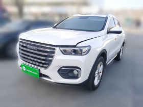 哈弗H4 2019款 红标 1.5GDIT DCT豪华智联版