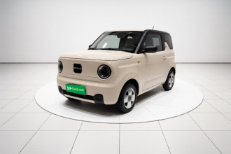 吉利银河 2023款 熊猫mini 200km 耐力熊