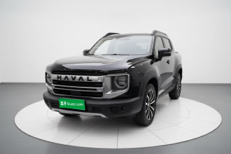 哈弗大狗 2024款 1.5T DCT拉布拉多版