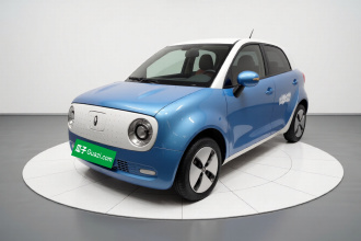 欧拉黑猫 2019款 301km 标准版