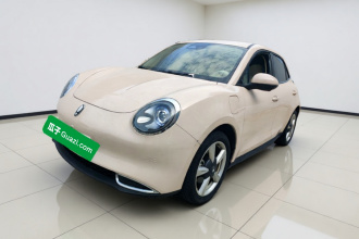 欧拉好猫 2023款 401km标准续航 尊贵型 磷酸铁锂