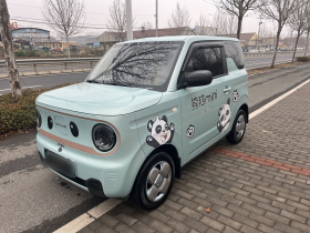 吉利银河 2024款 熊猫mini 200km 耐力熊