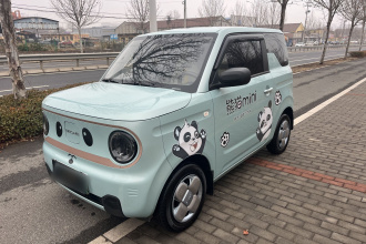 吉利银河 2024款 熊猫mini 200km 耐力熊