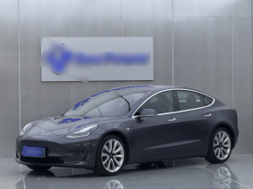 特斯拉 Model 3(进口) 2019款 长续航全轮驱动版