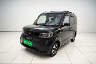 五菱汽车 五菱之光新能源 2025款 305km 进取型