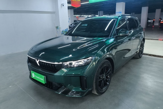 岚图汽车 岚图FREE 2025款 318 318km 后驱环游版