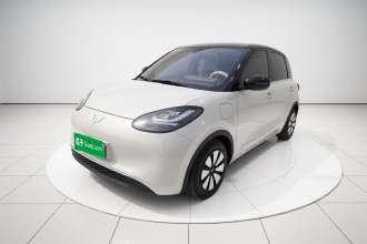 五菱汽车 五菱缤果 2024款 333km 悦享款