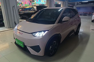 比亚迪 海鸥 2025款 智驾版 305km 活力版