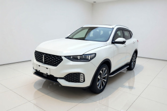 魏牌 VV6 2020款 2.0T 两驱智享+