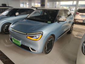 东风纳米 纳米01 2024款 430 Plus智+