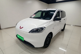 五菱汽车 五菱宏光新能源 2024款 纯电版 300KM 标准型