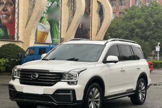 广汽传祺 传祺GS8 2020款 390T 两驱豪华智联版（七座）