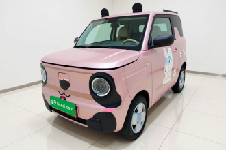 吉利银河 2023款 熊猫mini 200km 耐力熊