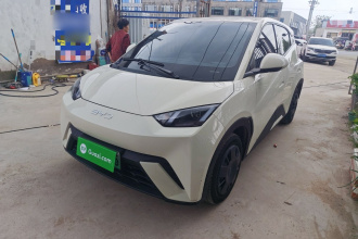 比亚迪 海鸥 2025款 305km 活力版