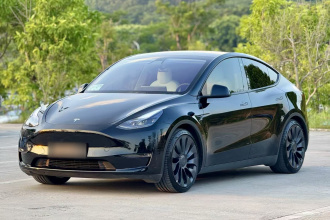 特斯拉 Model Y 2021款 Performance高性能全轮驱动版