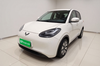 五菱汽车 五菱缤果 2023款 203km 舒享款