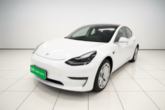 特斯拉 Model 3 2020款 改款 标准续航后驱升级版