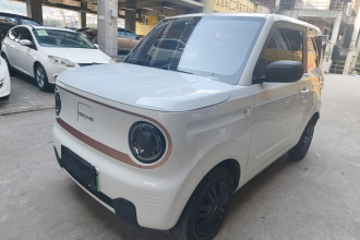吉利银河 2024款 熊猫mini 200km 耐力熊