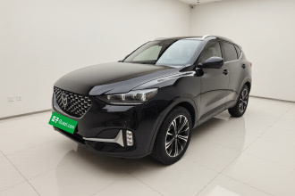 魏牌 VV6 2021款 2.0T 两驱智护+