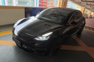 特斯拉 Model 3 2020款 长续航后轮驱动版