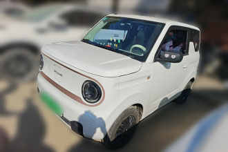 吉利银河 2023款 熊猫mini 200km 耐力熊