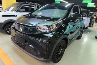奇瑞QQ 小蚂蚁 2024款 改款 321km 钟爱版